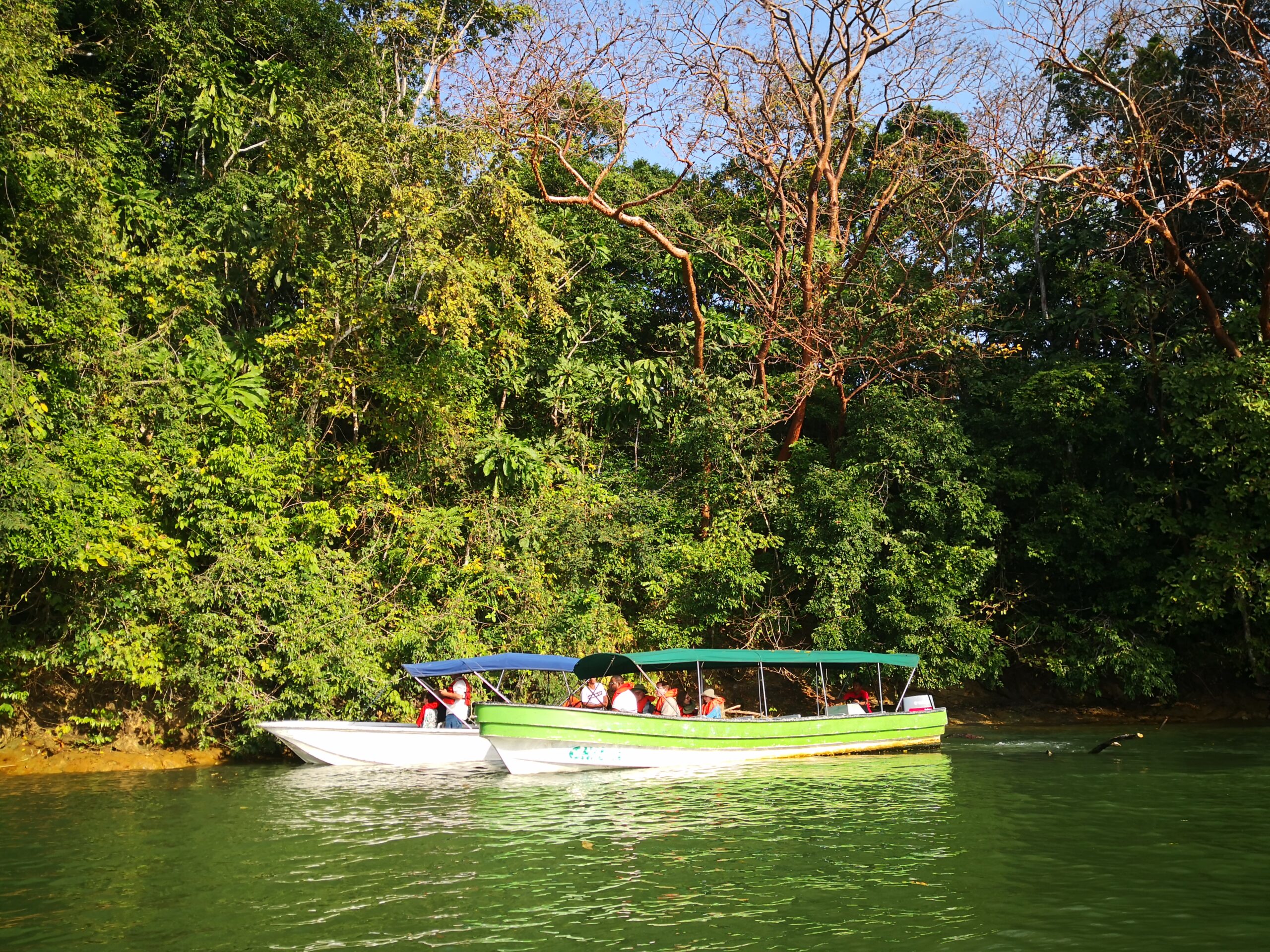Boot Ausflug Affeninsel Panama