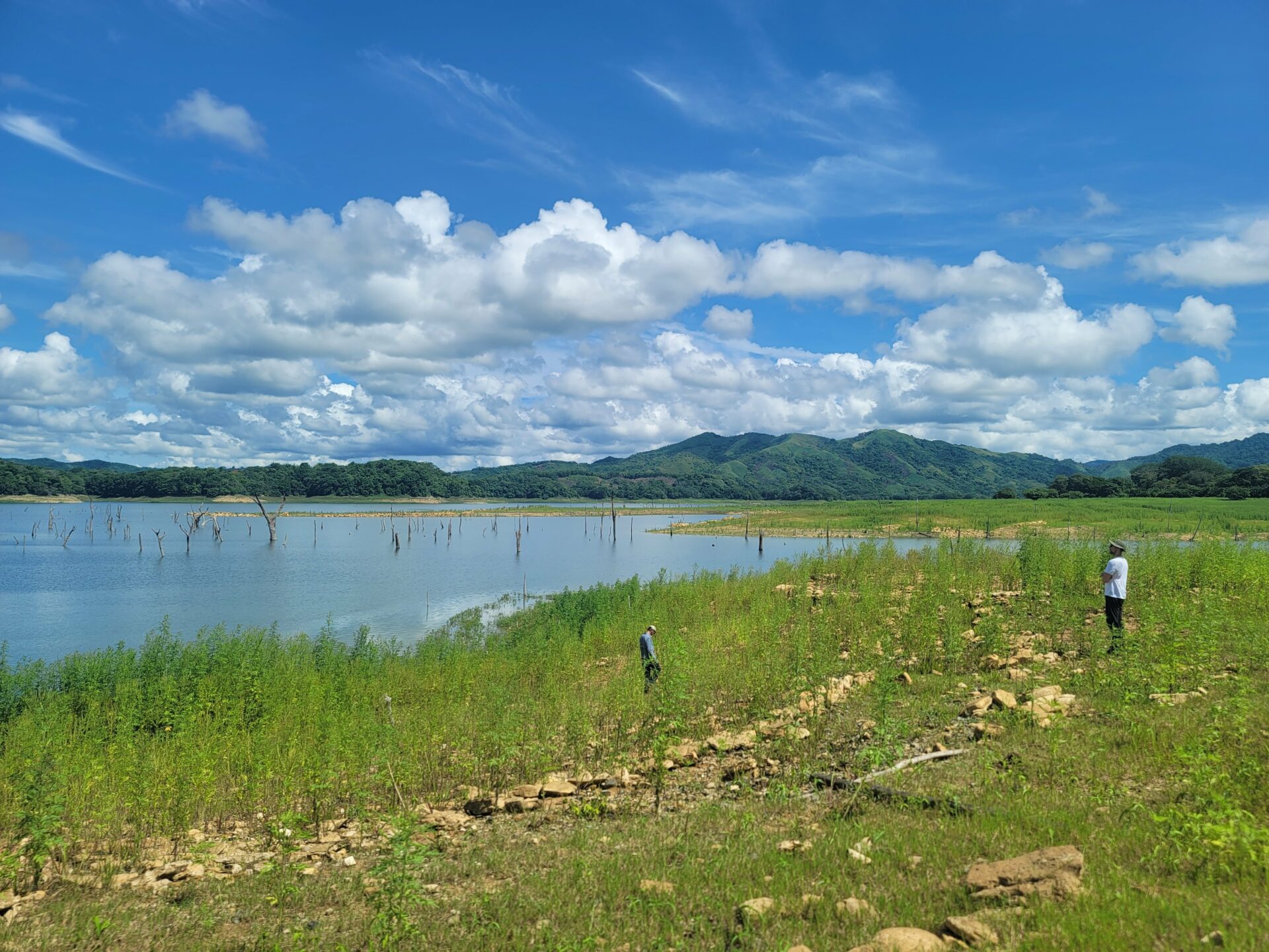 Ufer Lago Alajuela, Chagres-Nationalpark