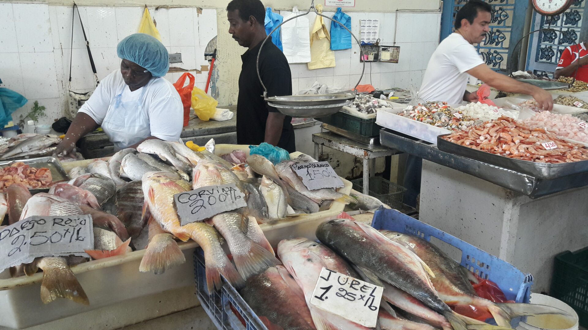 Fischmarkt Panama Stadt