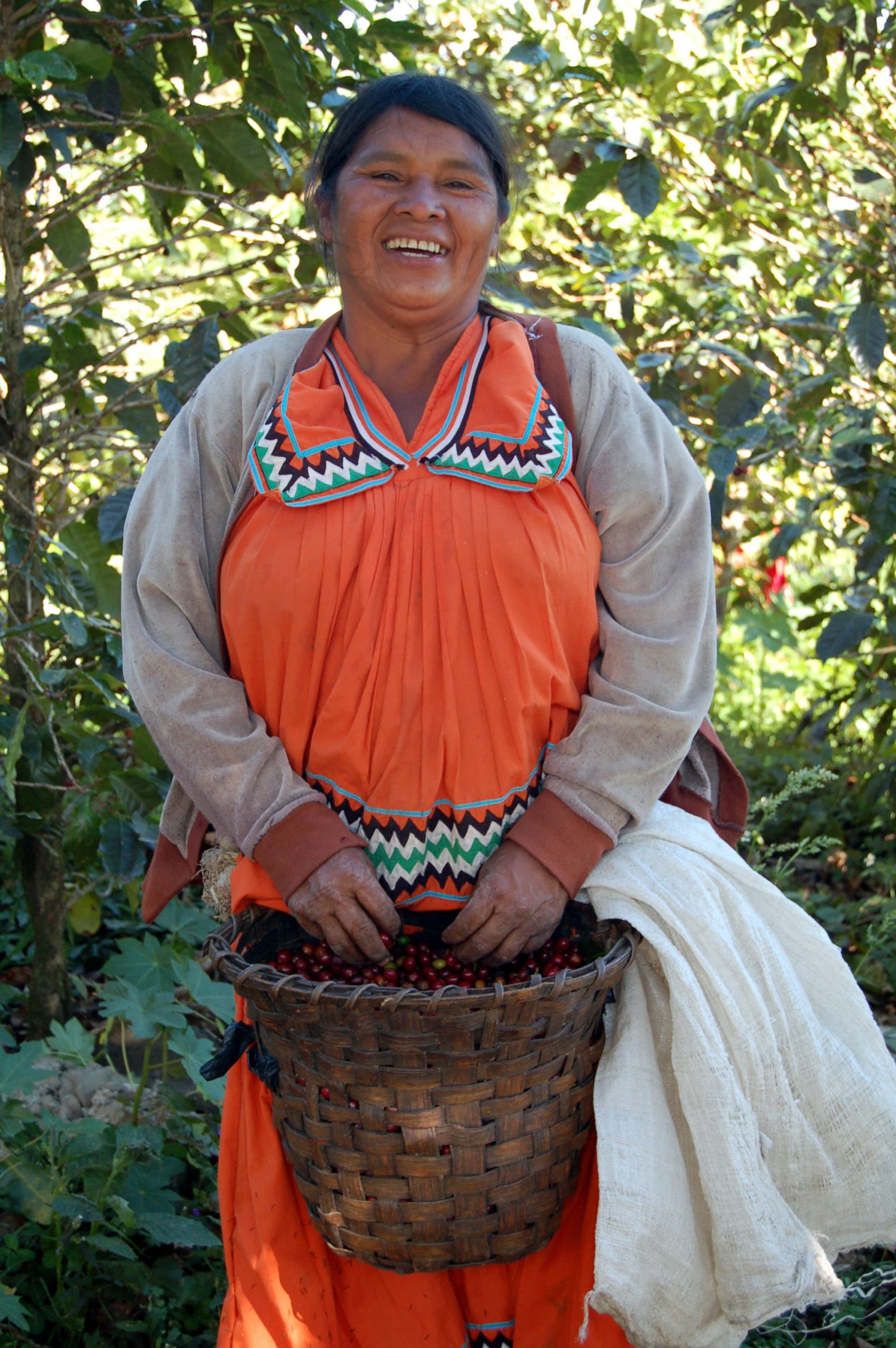 Ngobe Kaffee Panama