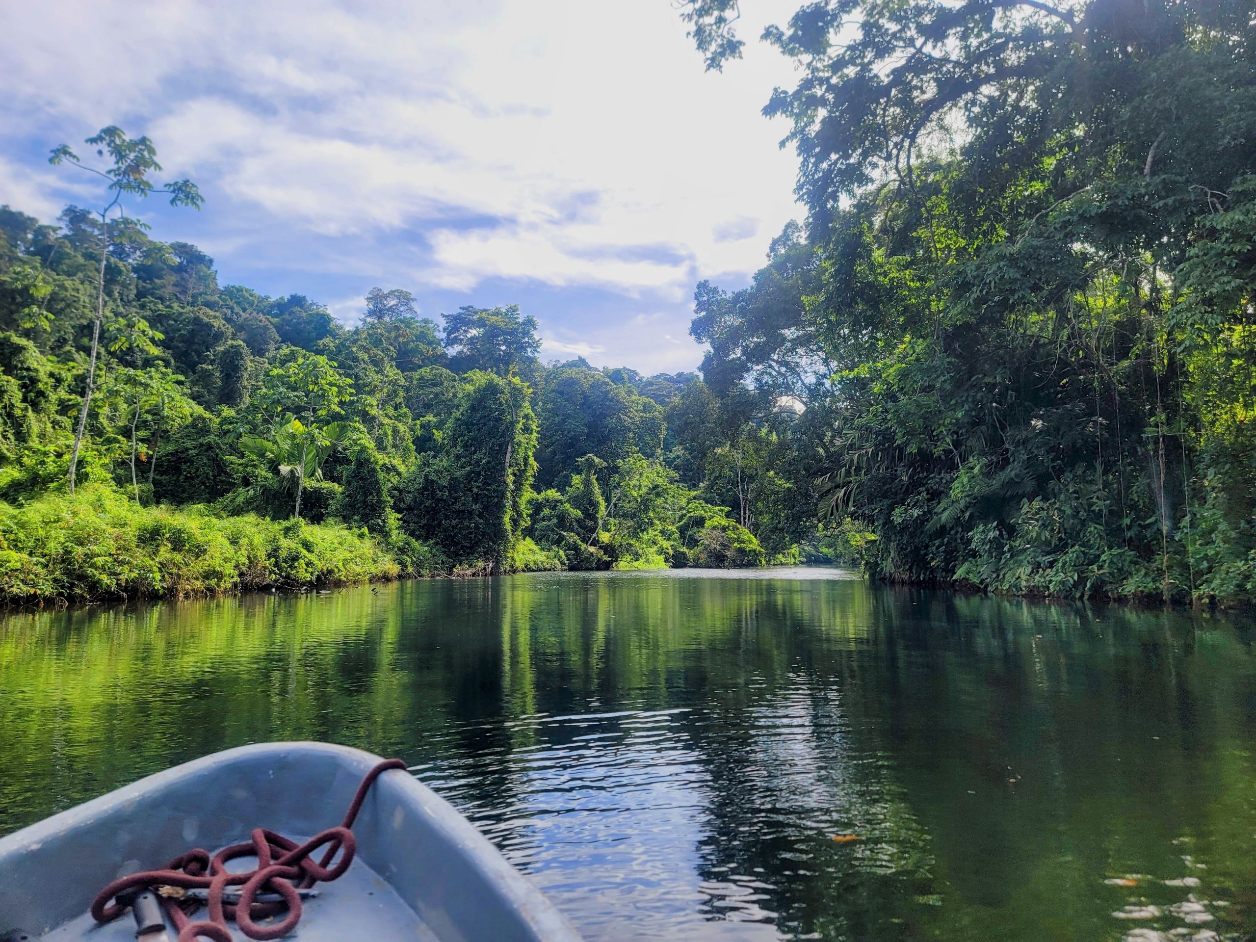 Panama Mietwagenreise Pazifik & Karibik mit Playa Jaguar – 4 Wochen